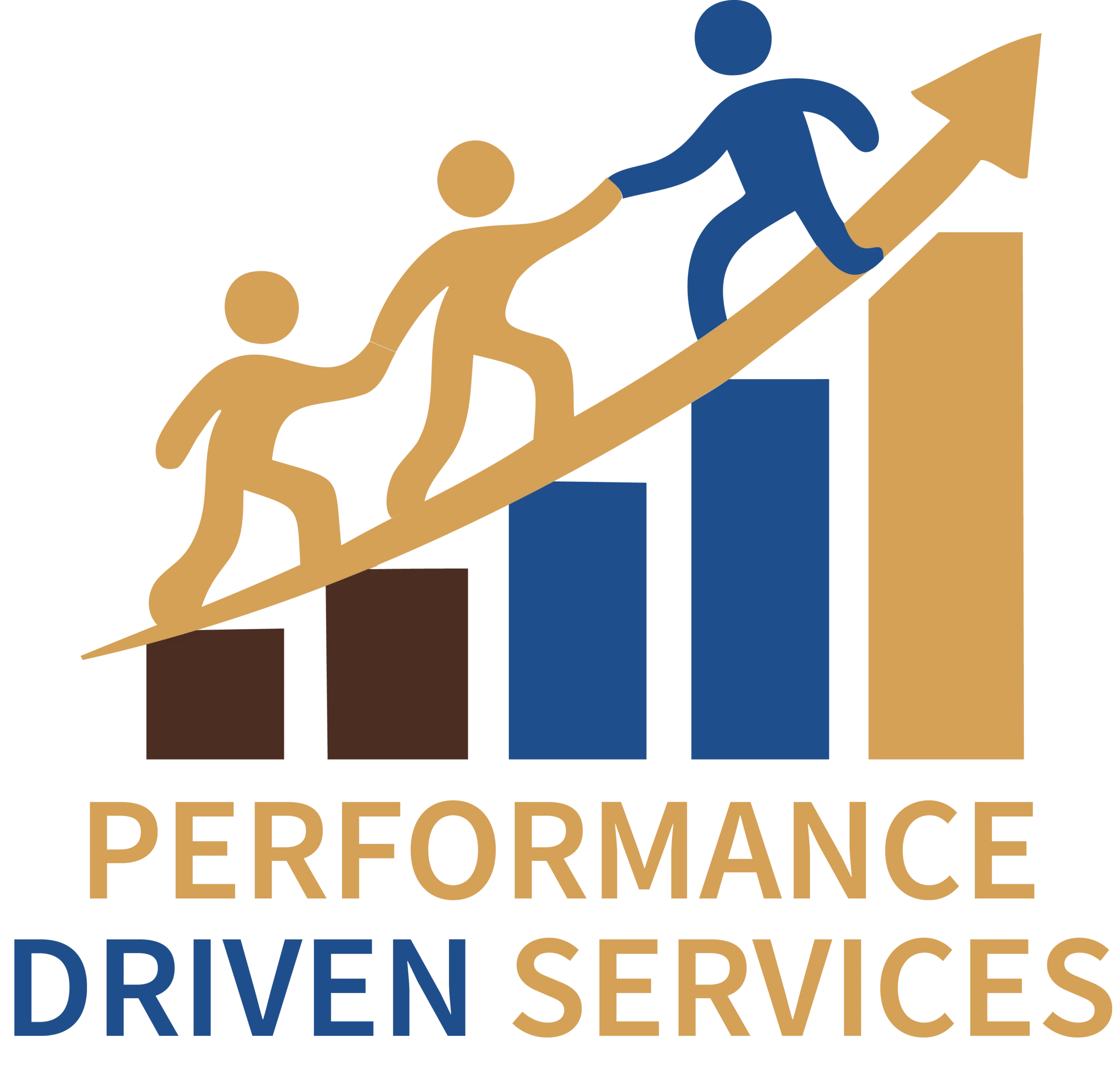 Performance Driven Services Company Logo