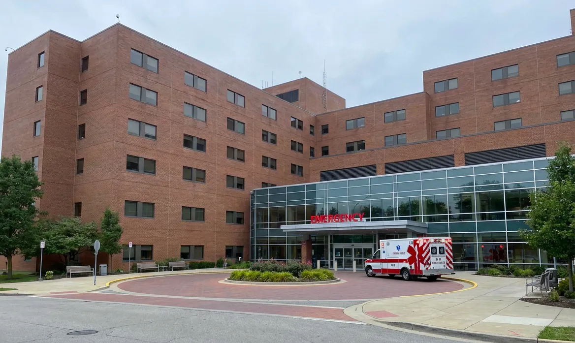 Service Organizations like hospitals, finance (banking), education (schools)